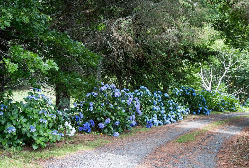 Doolans Country Retreat B&B Rotorua Luaran gambar