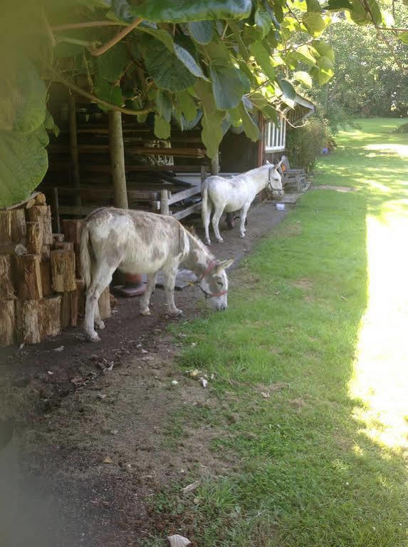 Doolans Country Retreat B&B Rotorua Luaran gambar